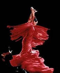 Espectacle flamenc del Dia d'Andalusia -Imatge 1-